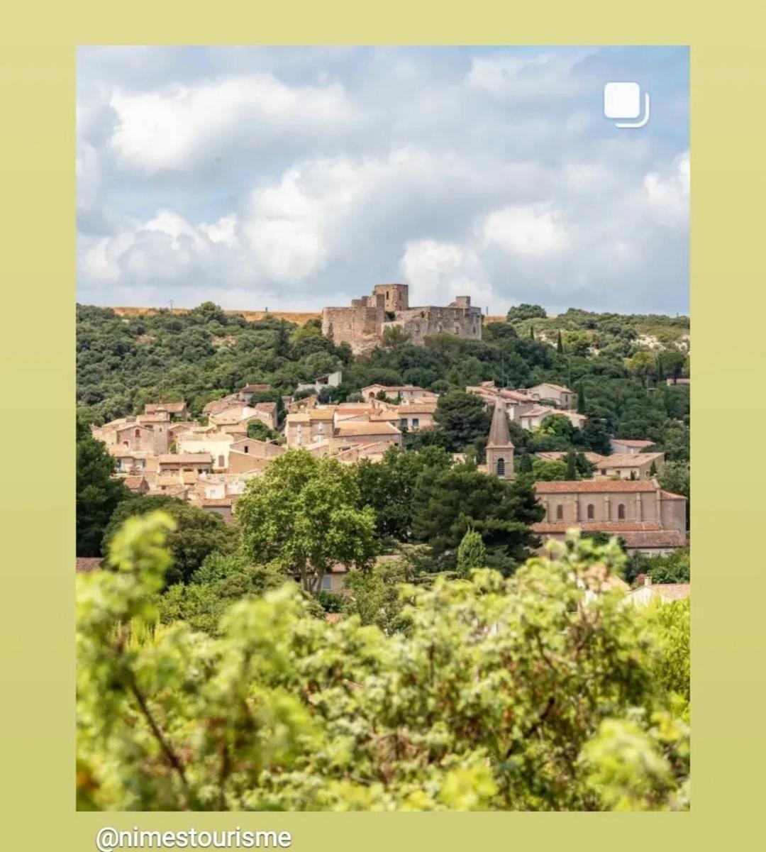 Au Mazet Du Parc Bed & Breakfast Ledenon ภายนอก รูปภาพ